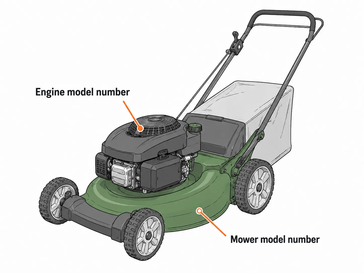Technical diagram of a walk-behind lawn mower showing the engine model number on the engine shroud and the mower model number on the cutting deck for accurate spark plug identification.